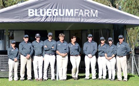 turffontein horse racing analysis|Blue Gum Farm .